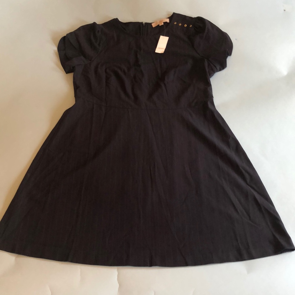 BNWT Loft Navy Pinstripe Dress